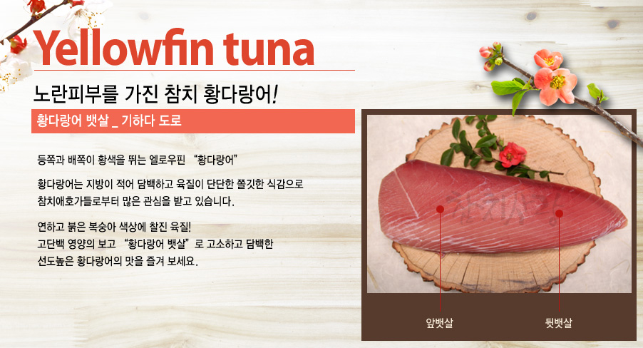 [특가상품]황다랑어 뱃살(한피스) 700g 내외(단품 구매 불가)